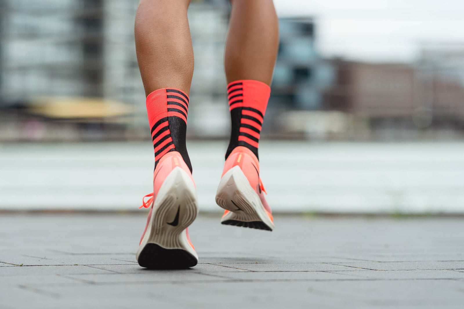 Incylence Ultralight Wings Black Inferno Long Sock Socks INCYLENCE